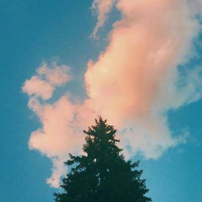 果盘梦幻模拟战最新下载