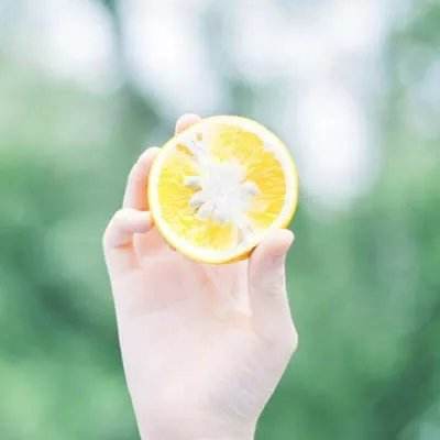 择天战记手游官方下载